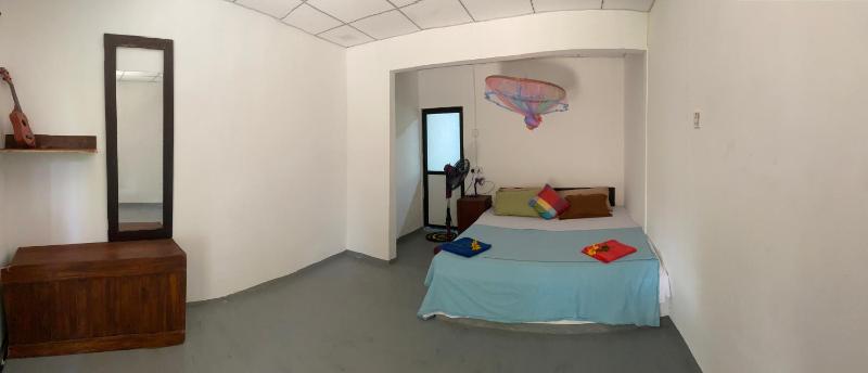 Roxy - image 22