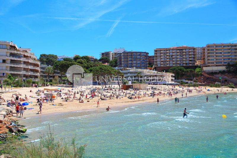 UHC Pino Alto Apartments - image 8