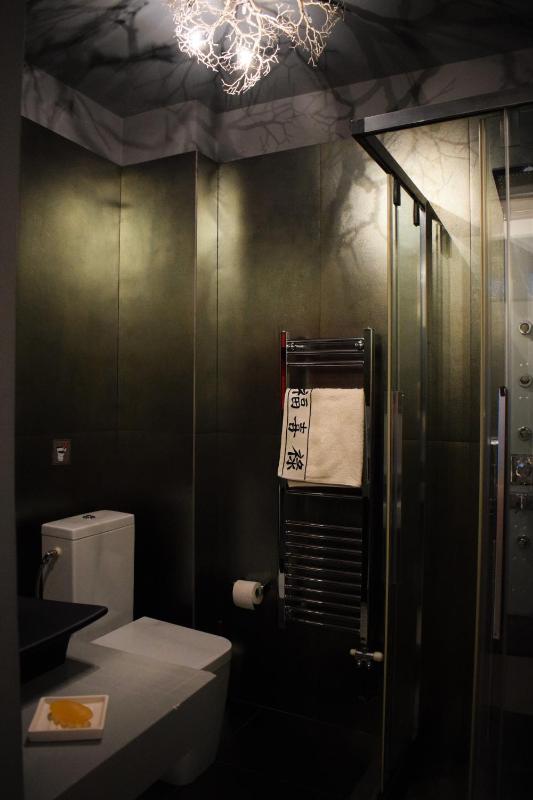 Deluxe Studio image 3