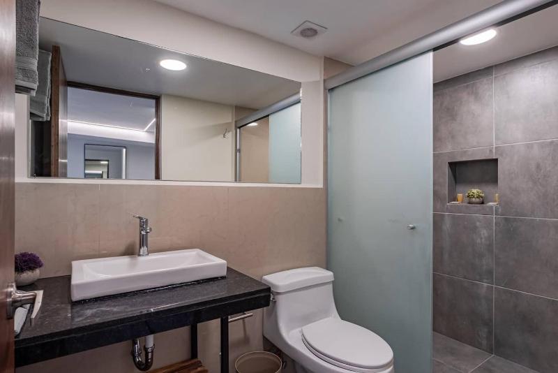 Charming condo with rooftop in Roma Norte - image 4