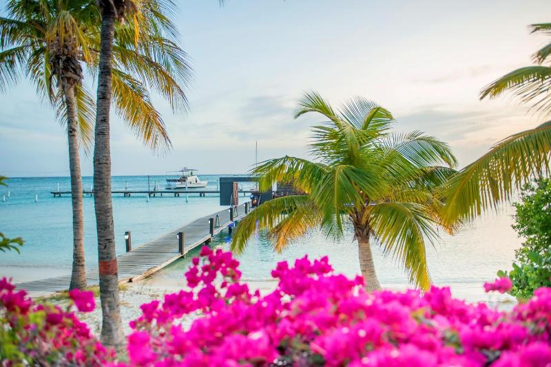 Aruba Surfside Marina - image 8
