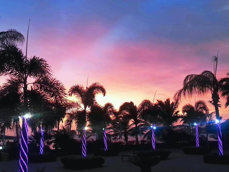 Aruba Surfside Marina - image 1