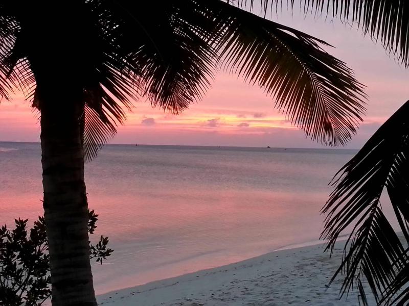 Aruba Surfside Marina - image 9