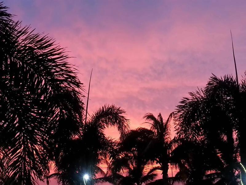 Aruba Surfside Marina - image 13