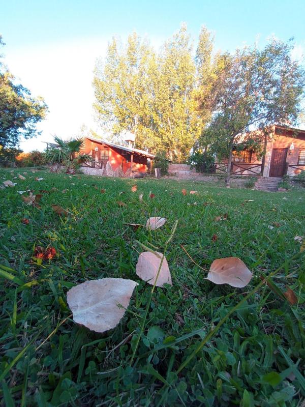 Complejo Canaan - image 16