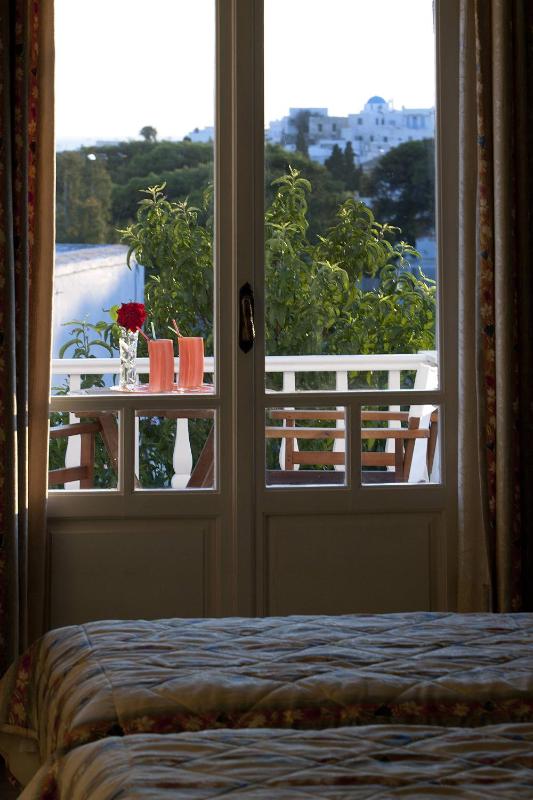 Superior Double or Twin Room image 4