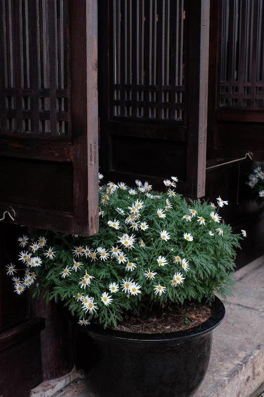 Lijiang Old Town Anyu Hotel - image 27