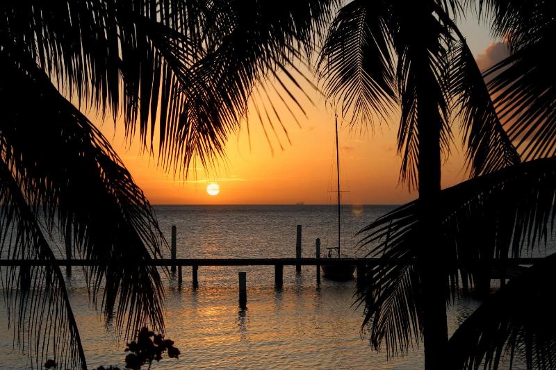 Aruba Surfside Marina - image 2