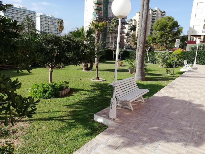 Don Ximo Solo Familia Serviplaya - image 16