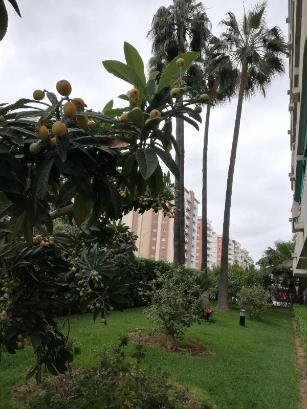 Parque VII Solo Familias Serviplaya - image 17