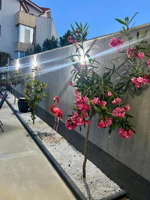 MAV Beach Villa - image 8