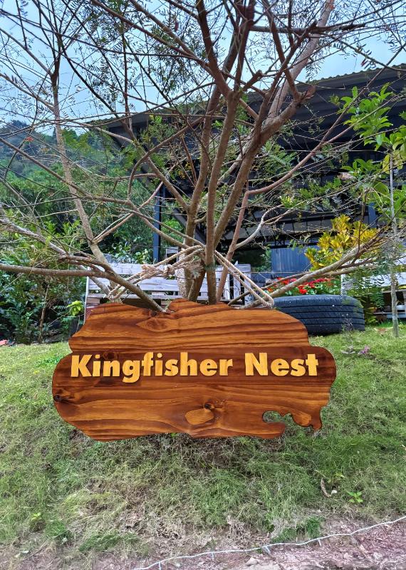 Kingfisher Nest - image 11