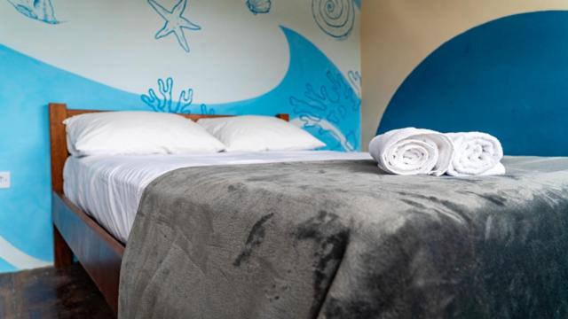 Drop House Hostel - Surf & Skate - Itamambuca - image 13
