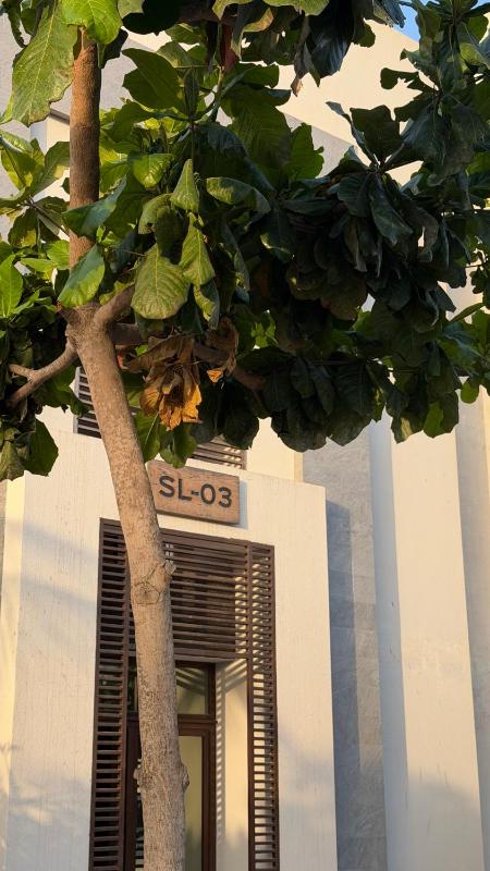 ستوديو في مارينا هوانا صلاله Hawana Salalah marina Studio - image 19