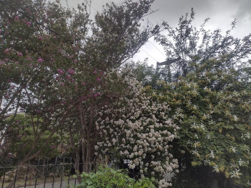 Refugio Serrano Carlos Paz parque y pileta privada - image 5