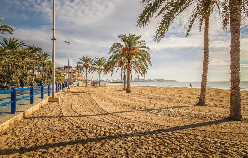 Gorgeous Apartment In Alicante With Wifi - image 7