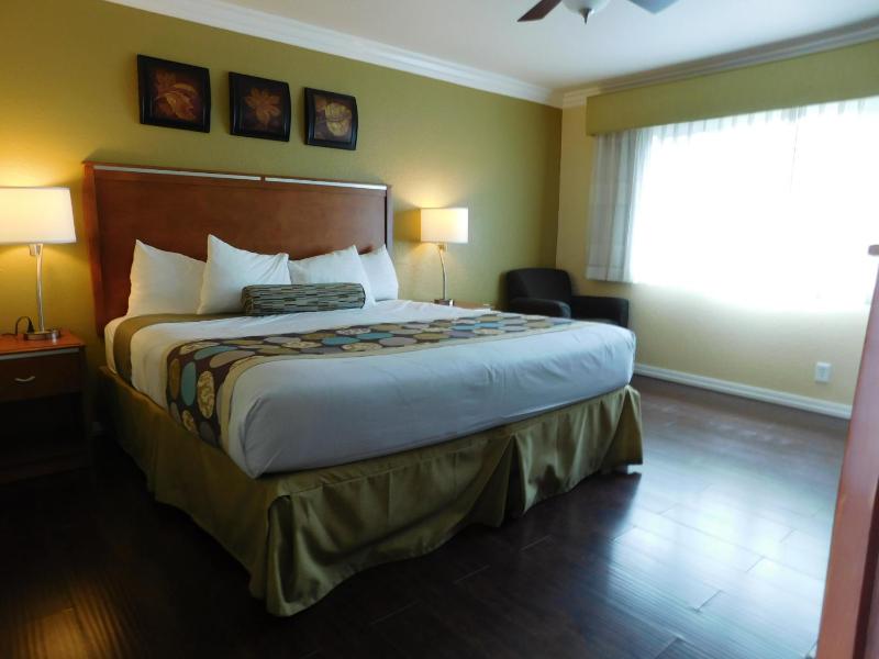 King Room with Fireplace image 2
