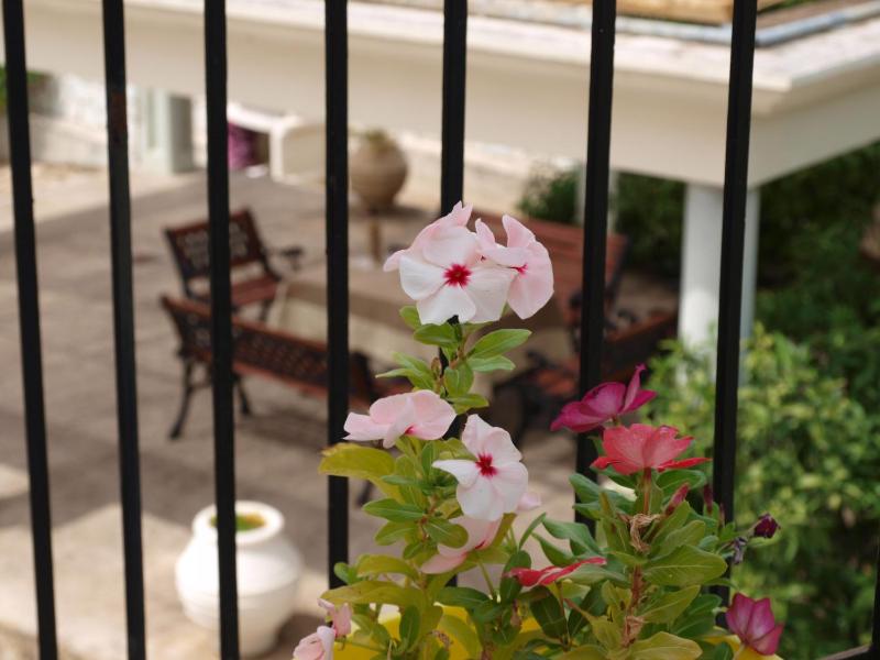 Aristotelis Apartments - image 22