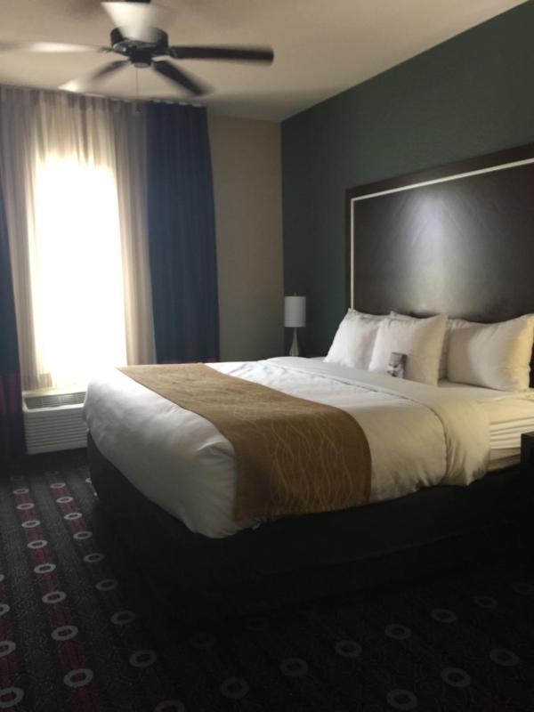 King Room - Non-Smoking image 3