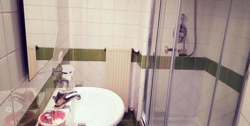 Small Single Room image 3