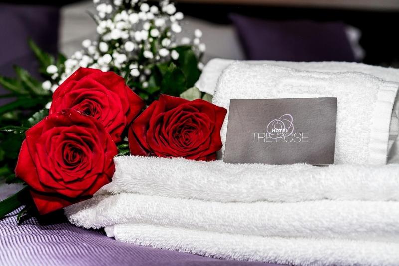 Hotel Tre Rose - image 30