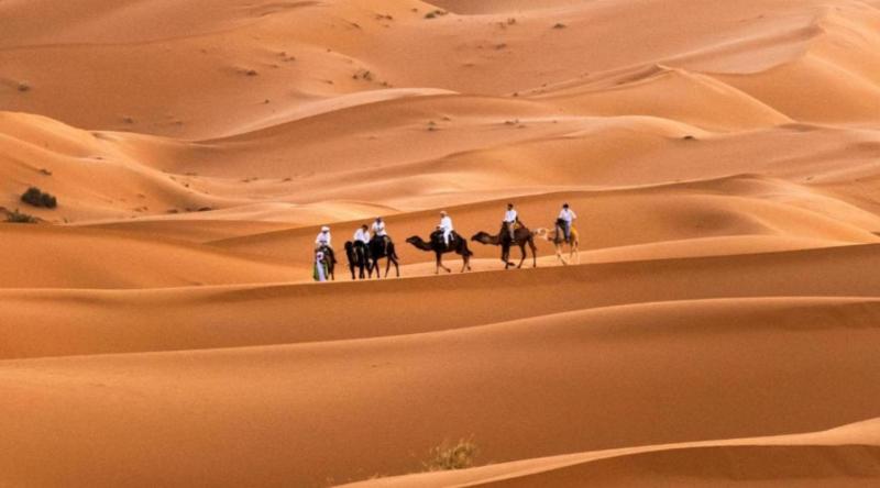 Luxury Dune's Camp - image 13