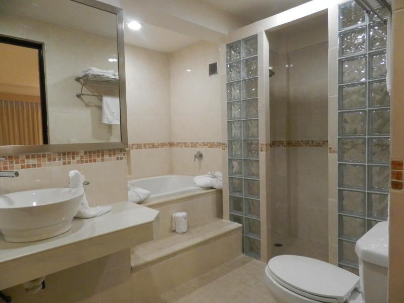 Hotel Victoria Merida - image 10
