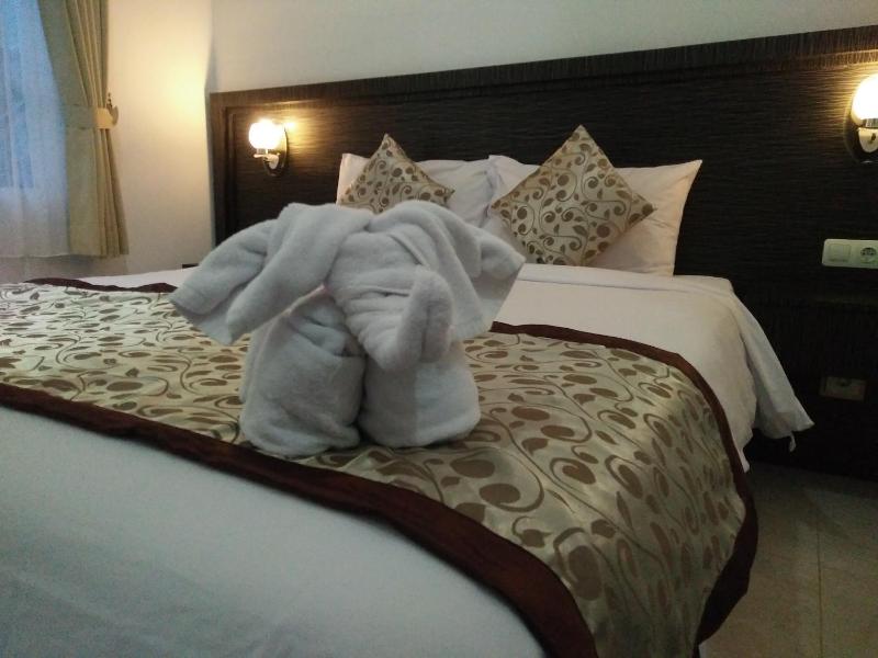 Asta House - image 13
