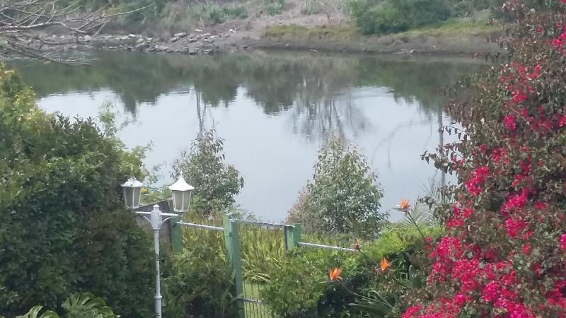 Forword's River Lodge - image 6