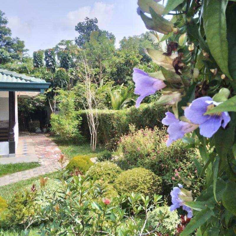 Hill View Resort - image 37