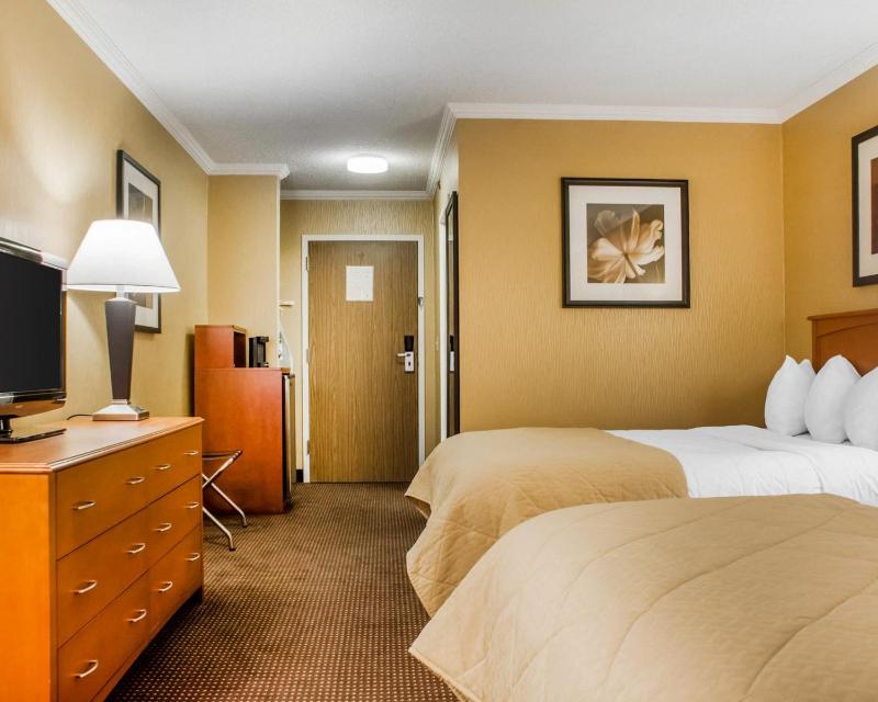 Queen Room with City View - Non-Smoking image 3