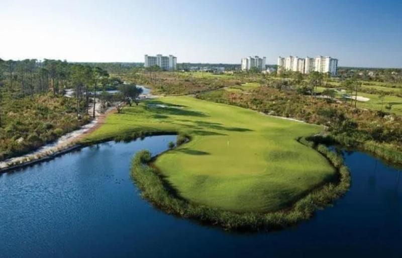 Salty Tides in Perdido Key - image 30