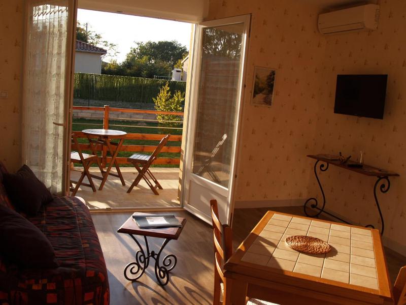 Double Bed Apartment with Terrace and Garden View  image 4