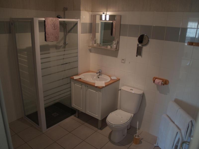 Double Bed Apartment with Terrace and Garden View  image 2