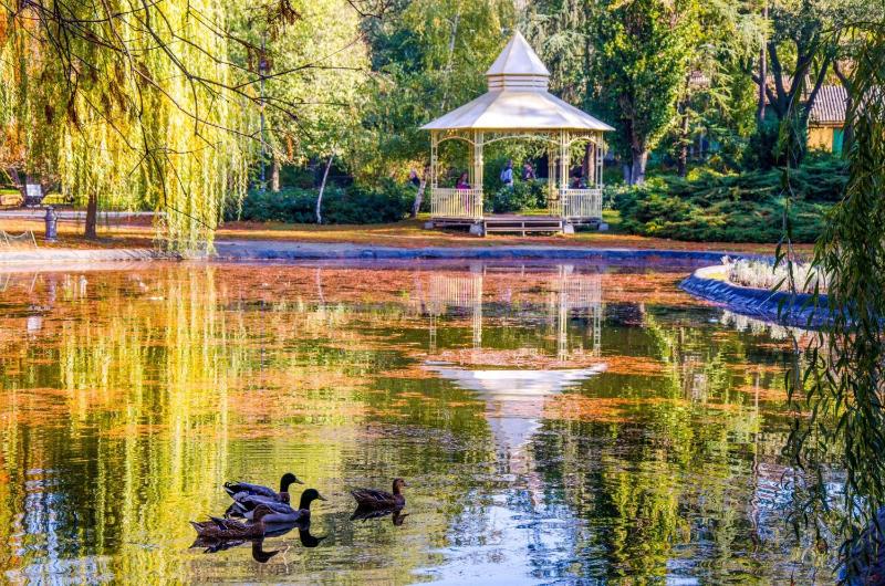 Central Park - image 8