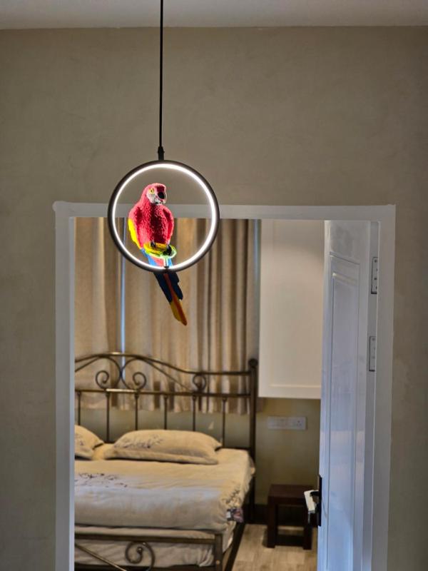 The Hidden Sal Cottage - image 12