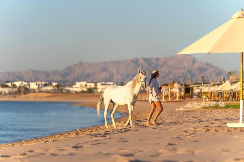 Rixos Premium Magawish Bay View - image 17