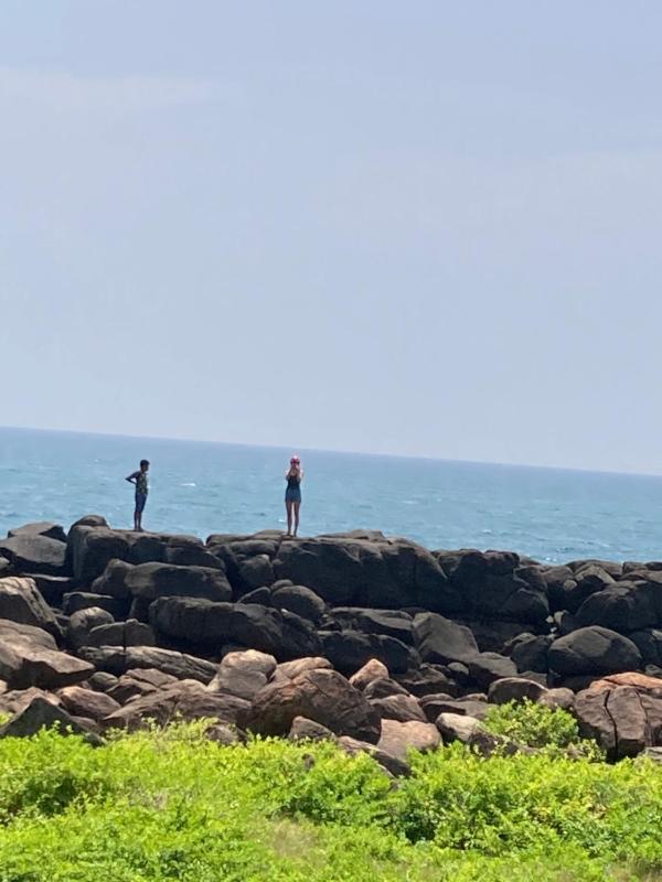 Dragon beach - image 15