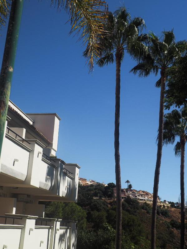 Elviria Hills Living - image 30