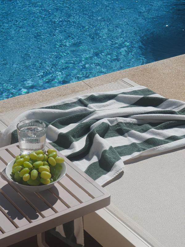 Elviria Hills Living - image 28