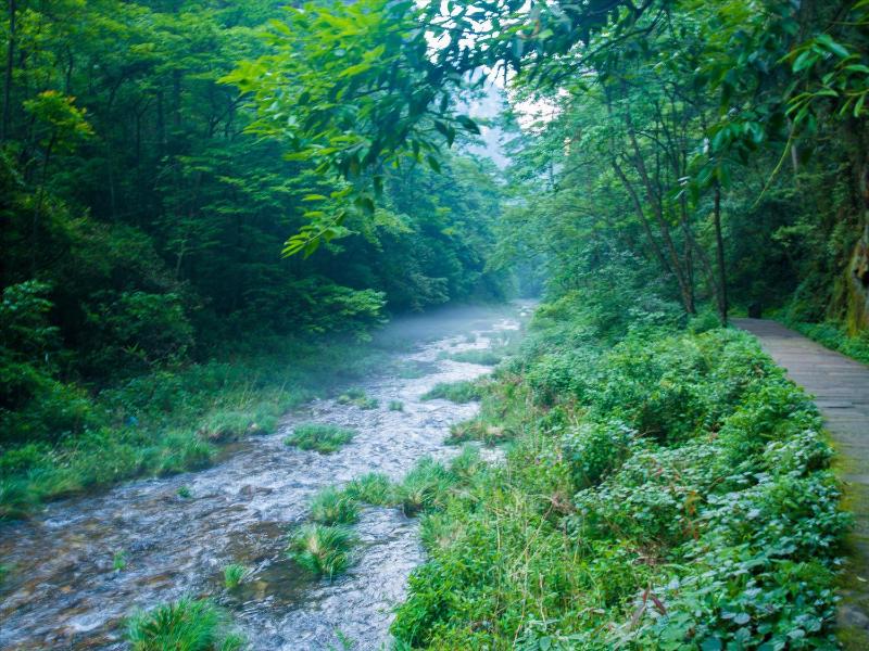 Zhangjiajie Riverside Leaves Inn一The city bus can go to the ticket office of the scenic spot - image 43