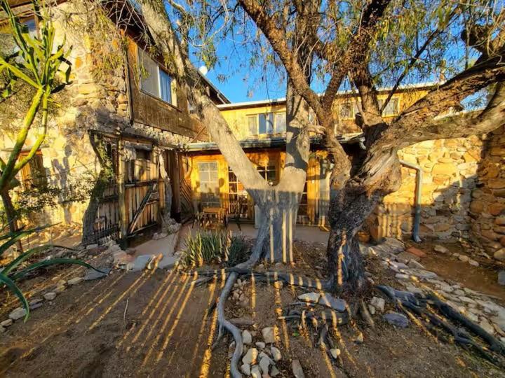 Tucson Mountain Guest Ranch - image 21