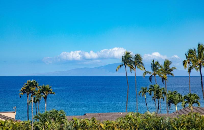 Wailea Elua Village - CoralTree Residence Collection - image 8