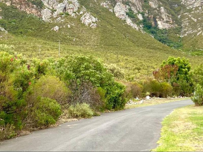Mountain View Studio Hermanus - image 3