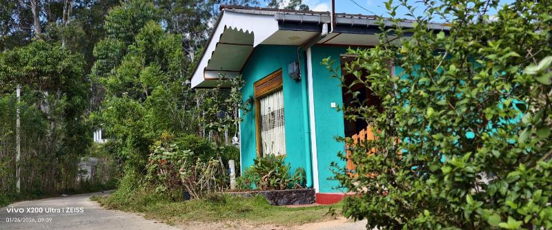 ELLA FREEDOM STAR COTTAGE - image 22