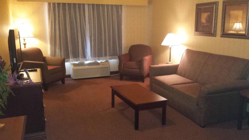 One-Bedroom King Suite image 4