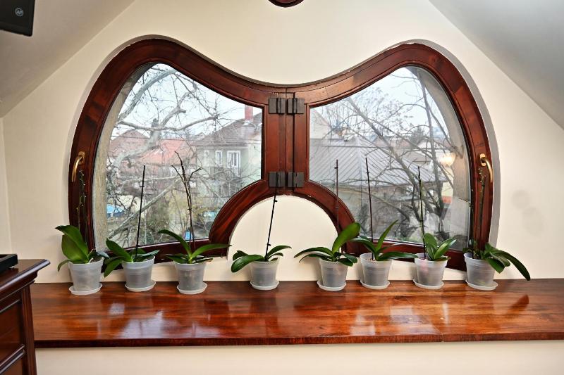 Pensiunea Casa Stoica Oradea - image 28