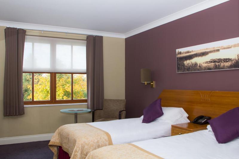 Twin Room - Disability Access image 3
