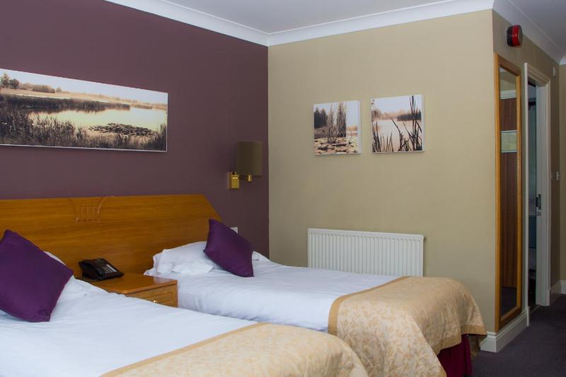 Twin Room - Disability Access image 4