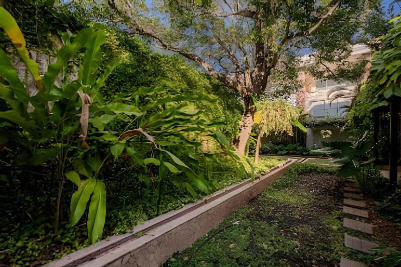 Colonial Elegance in Historic Center /Pool - image 2